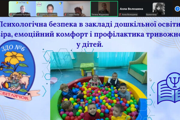 Школа професійного досвіду